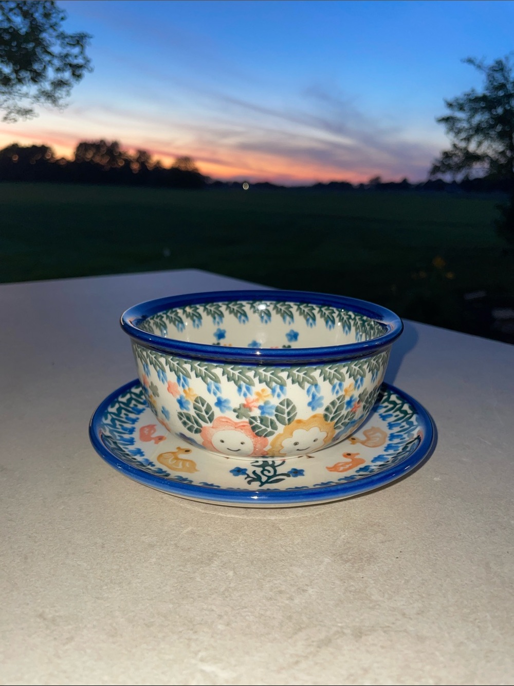 Hand Made Polish Pottery Children’s Floral/Animal Plate and Bowl Set